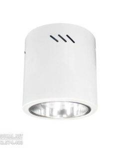 Đèn DOWNLIGHT Ốp Trần - LGN 4