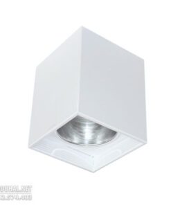 Đèn DOWNLIGHT Ốp Trần - LVN 4