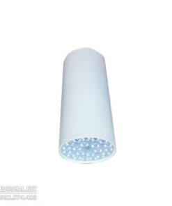 Đèn LED Chiếu Sâu Gắn Nổi Trang Trí 3W - DIB2033