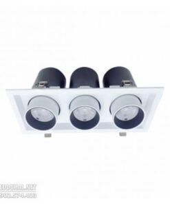 Đèn Led Downlight Chiếu Điểm 3x15W - DFC3151