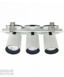 Đèn Led Downlight Chiếu Điểm 3x15W - DFC3152