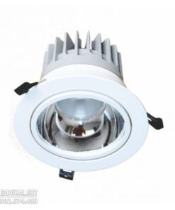 Đèn Led Downlight Chiếu Điểm Âm Trần 20w - DFA0202