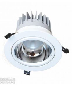 Đèn Led Downlight Chiếu Điểm Âm Trần 30w - DFA0302