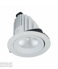 Đèn LED Downlight Chiếu Sâu 40W - BIB0401
