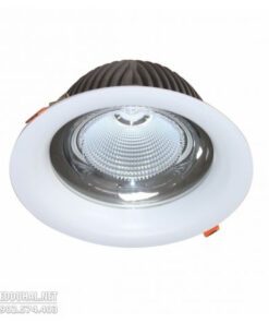 Đèn Led Downlight Chiếu Sâu Trần Cao 30w-DFA0303