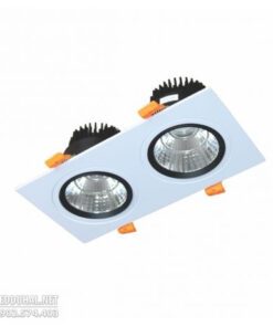 Đèn LED Downlight Vuông Chiếu Điểm 2x5W - DFC2051