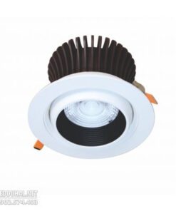 Đèn Led Downlight Xoay Chiếu Điểm 30w - DFA0304