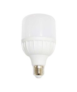 BÓNG LED TRỤ CÔNG SUẤT CAO 10W (KLB0102)