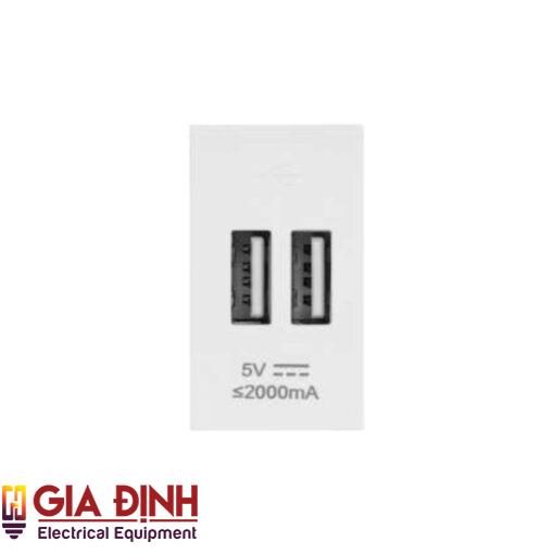 Ổ Cắm 2 USB Size S (T1B612)