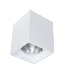ĐÈN DOWNLIGHT GẮN NỔI (LVN 3.5)